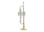 Master Bb Trumpet : 5381 