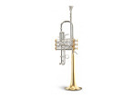 Master Eb Trumpet : 5581 